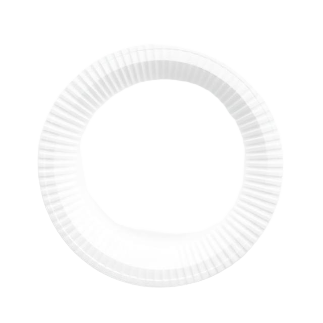 Disposable Plates x50